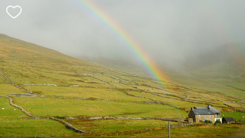 Foto de um prado com vaquinhas e ovelhas e uma casa. E um arco-íris, óbvio.