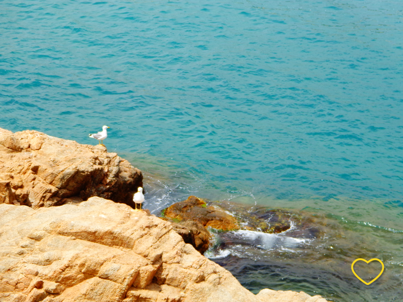 Pedras com duas gaivotas e o mar bem azul turquesa.