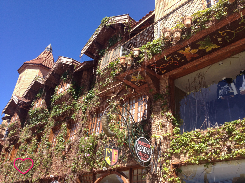 Detalhe de um edifício em estilo de montanha, com muitas plantas decorando sua fachada.