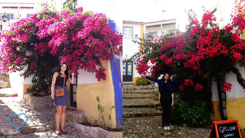 Duas fotos. Nas duas eu estou sob um bougainville. A primeira em 2013 e a segunda em 2015.